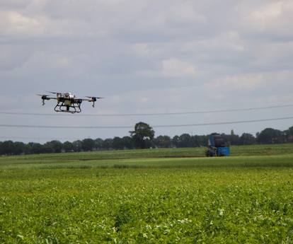 Drone boven het gewas in DigiAgro (NHL Stenden).