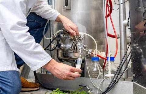 Monstername aan de fermentor in het fermentatielab van HAN BioCentre; op de voorgrond gras als grondstof.