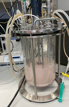 Laboratoriumbioreactor met methanotrofen in het HAN-onderzoek naar biogas en methane-to-materials.