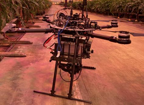 Meetdrone met camerasensoren in de kas voor Smart Crop Protection (NHL Stenden + Saxion).